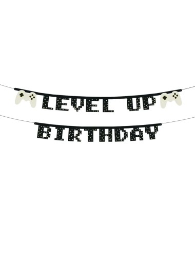Slinger "Level up Birthday"