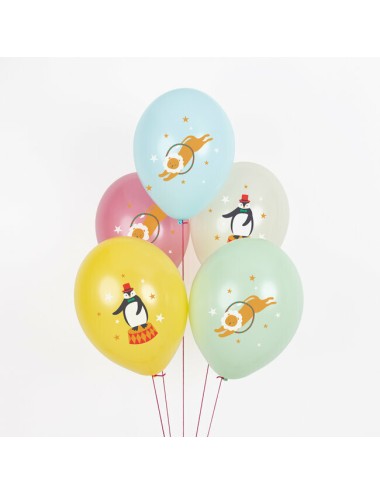 Ballonnen Circus (5 st.)