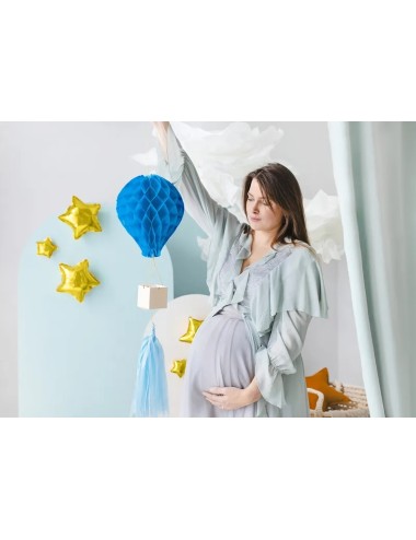 Honeycomb Hanger...