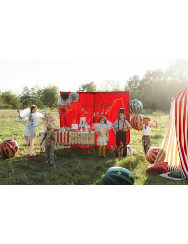 Papieren waaiers Circus (5...